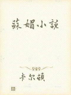 苏媚小说