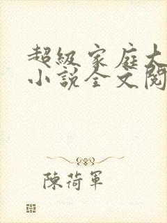 超级家庭大杂烩小说全文阅读