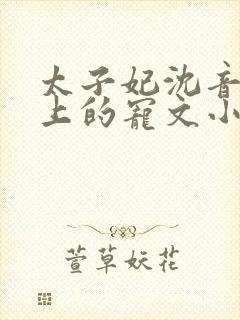 太子妃沈音和皇上的宠文小说