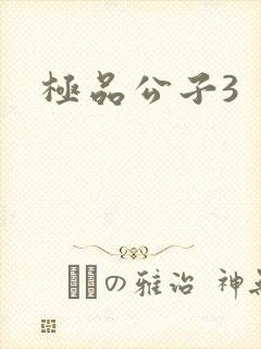 极品公子3