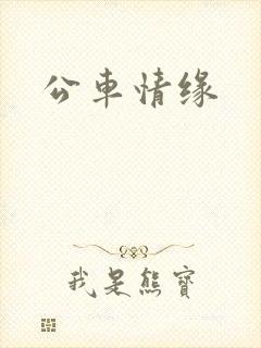 公车情缘