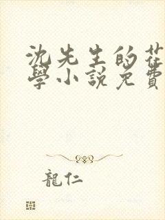 沈先生的花式教学小说免费