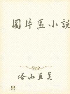图片区小说区