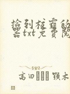 捡到校霸的遥控器txt免费阅读by阳阳封面