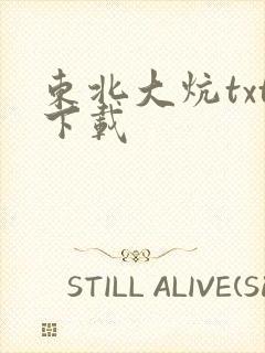东北大炕txt下载封面