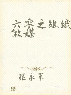 六零之组织给我做媒封面