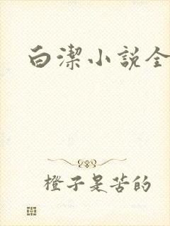 白洁小说全文封面