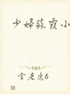少妇苏霞小说