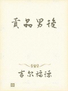 贡品男后