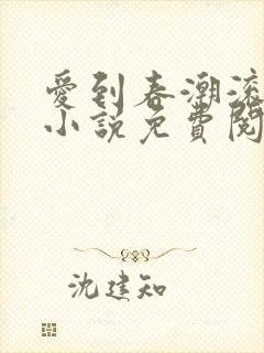 爱到春潮滚滚来小说免费阅读