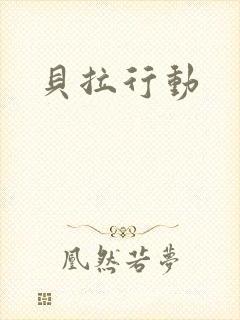 贝拉行动封面