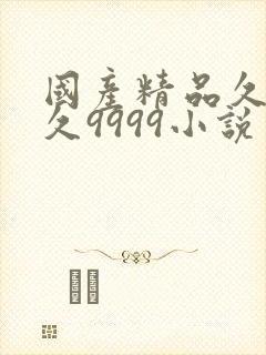 国产精品久久久久9999小说