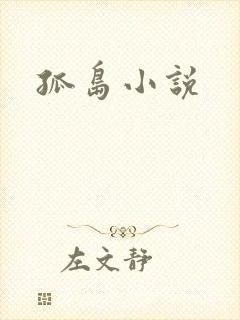 孤岛小说