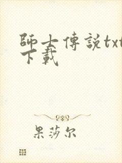 师士传说txt下载