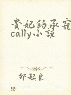 贵妃的承宠日常cally小说封面