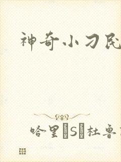 神奇小刁民