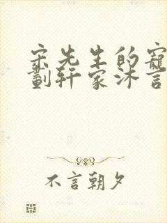 宋先生的宠妻计划轩家沐言封面
