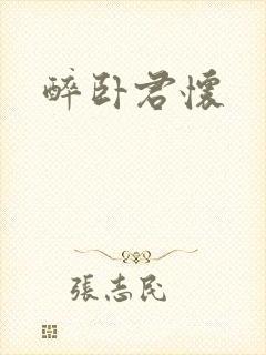 醉卧君怀封面