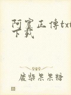阿宾正传txt下载
