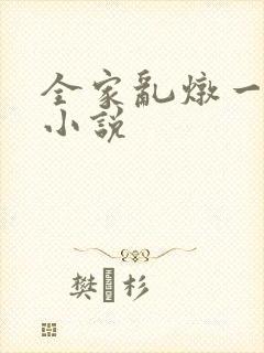 全家乱炖一锅烩小说封面
