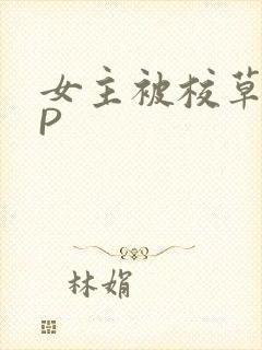 女主被校草们NP
