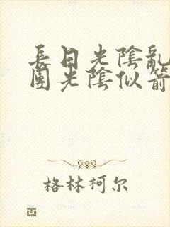 长日光阴乱作一团光阴似箭眇眇翟封面