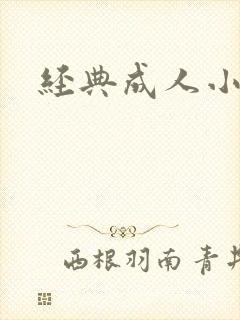 经典成人小说