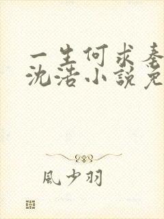 一生何求秦菲雪沈浩小说免费阅读全文