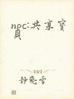 npc:共享宝贝