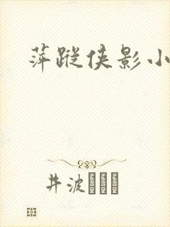 萍踪侠影小说封面