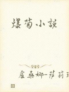 爆菊小说