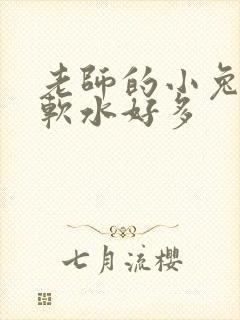 老师的小兔子好软水好多
