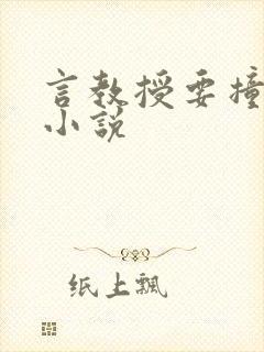 言教授要撞坏了小说