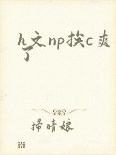 h文np挨c爽了封面