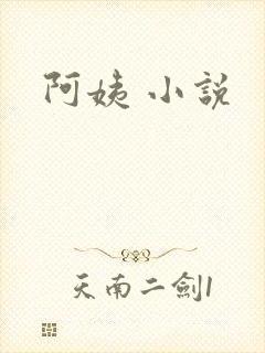 阿姨 小说
