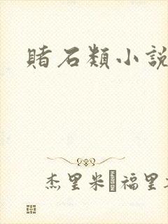 赌石类小说封面
