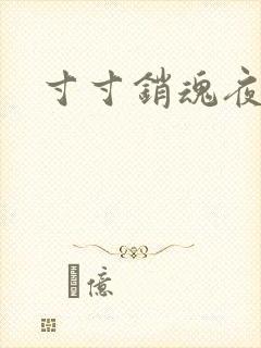寸寸销魂夜春光