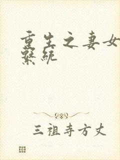 重生之妻女掠夺系统封面