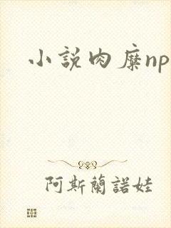 小说肉糜np
