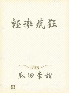 轻微疯狂封面