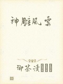 神雕风云