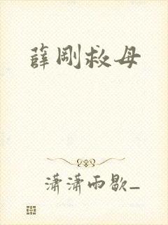 薛刚救母