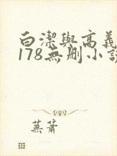 白洁与高义1～178无删小说封面