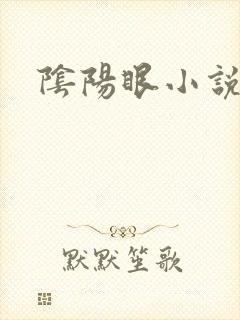 阴阳眼小说