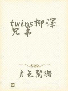 twins柳泽兄弟封面