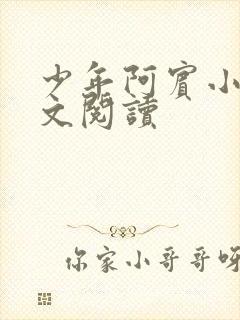 少年阿宾小说全文阅读
