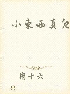 小东西真欠弄