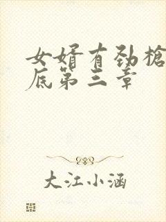 女婿有劲枪枪到底第三章