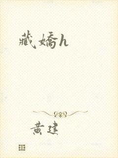 藏娇h