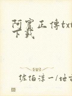 阿宾正传txt下载